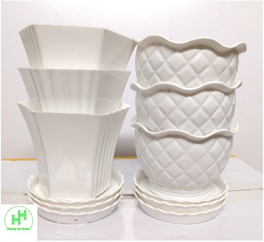 Combo 3 Chậu quả Dứa + 3 Chậu Lục giác Sen đá , trồng cây mini, xương rồng, cây để bàn, sen đá