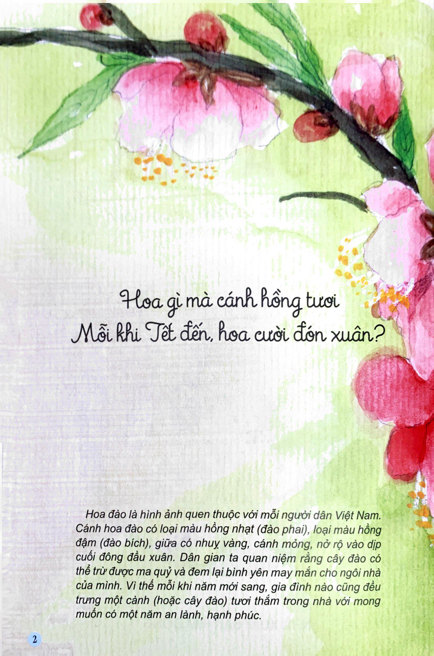 Sách Câu Đố Dân Gian Bằng Tranh - Hoa Quả (Tái Bản 2019)