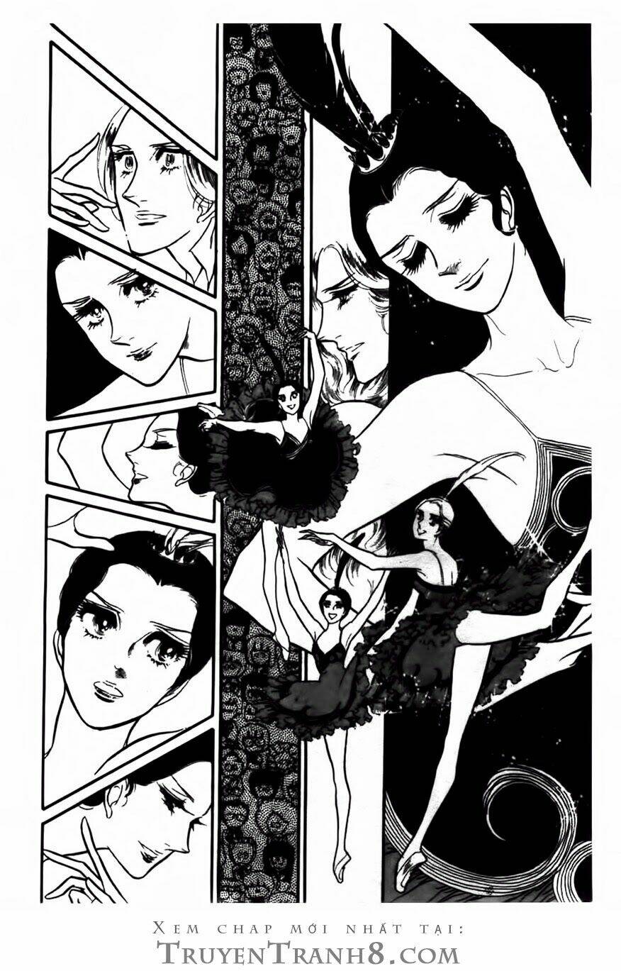 swan - vũ khúc thiên nga chapter 82 2