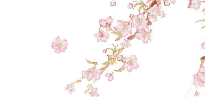 thái tử phi là người thế thân chapter 1 68