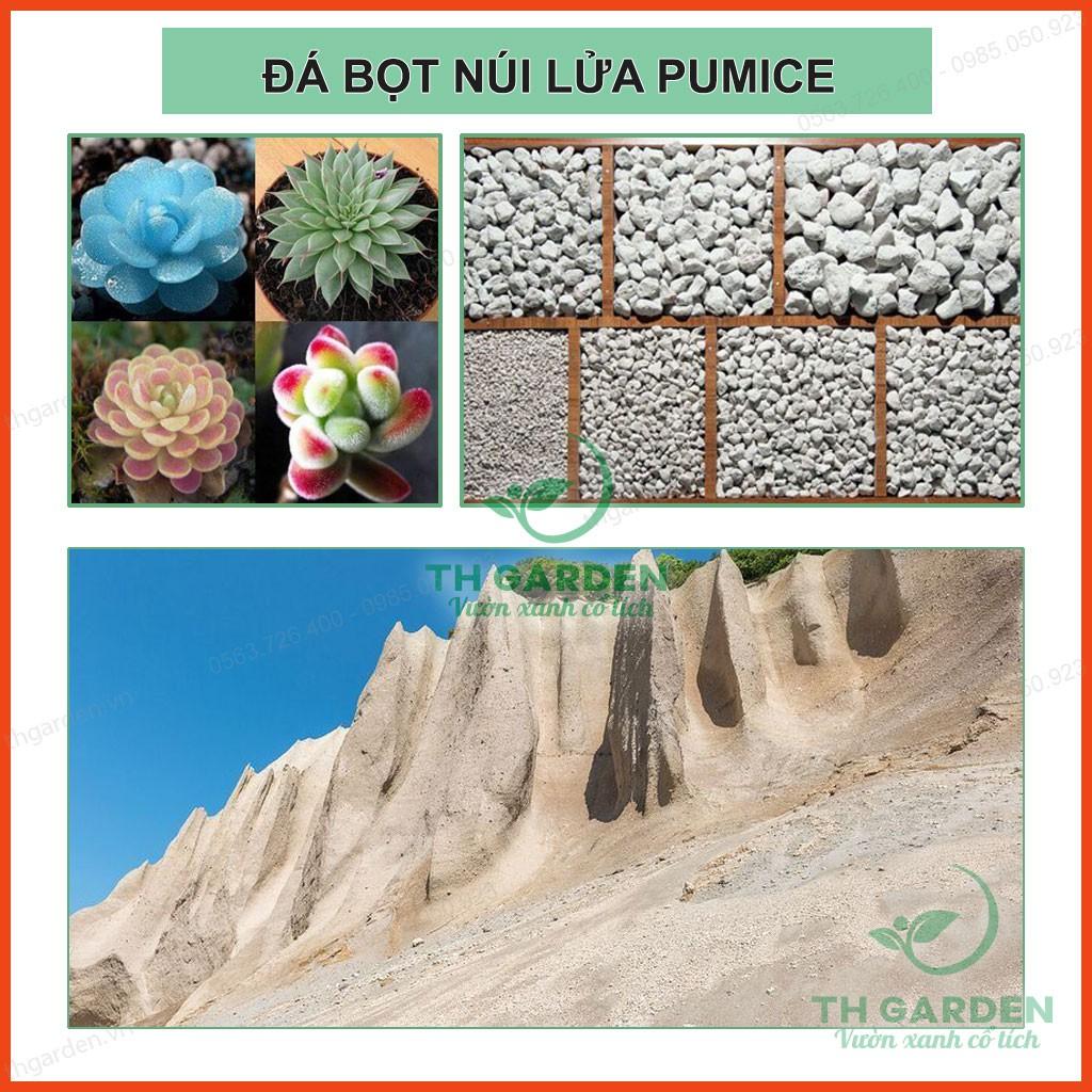 0.5kg Đá Bọt Trồng Lan Pumice TH Garden - Nhẹ Thoáng, Giữ Ẩm Tốt - Giá Thể Trồng Lan, Sen Đá, Cây Cảnh ...