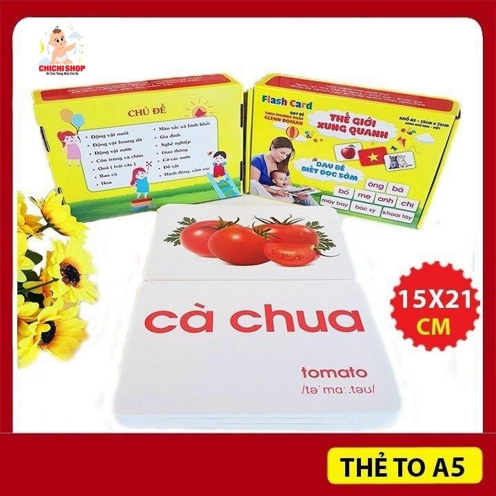 Bộ Thẻ Học Thông Minh FlashCards Song Ngữ Anh Việt Theo Phương Pháp Glenn Doman -Trọn Bộ 14 Chủ Đề 100 Thẻ A5