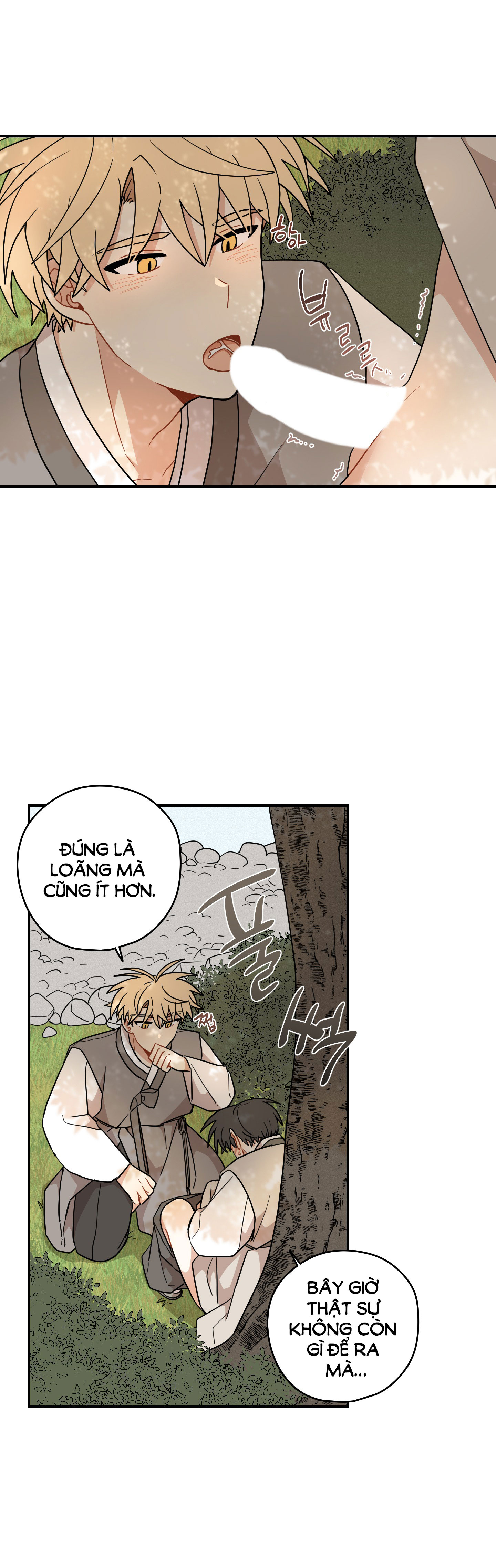 [18+] con đường hoa chuông vàng - liên kiều rơi chốn này chapter 53.2 11