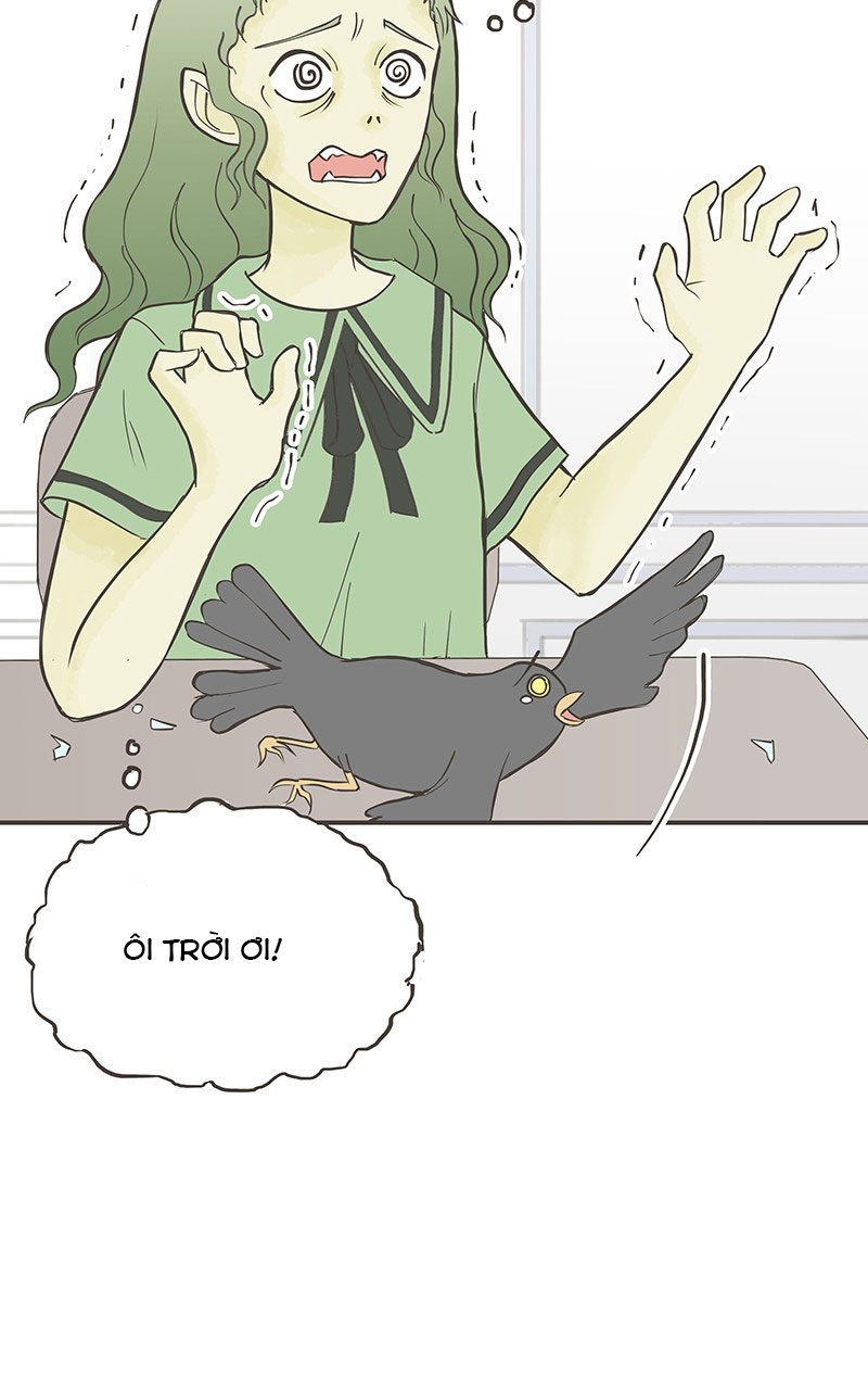 những nàng công chúa bị nguyền rủa chapter 17 37