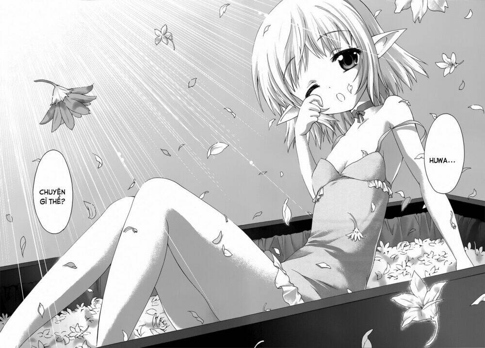 seikoku no dragonar chapter 17 21