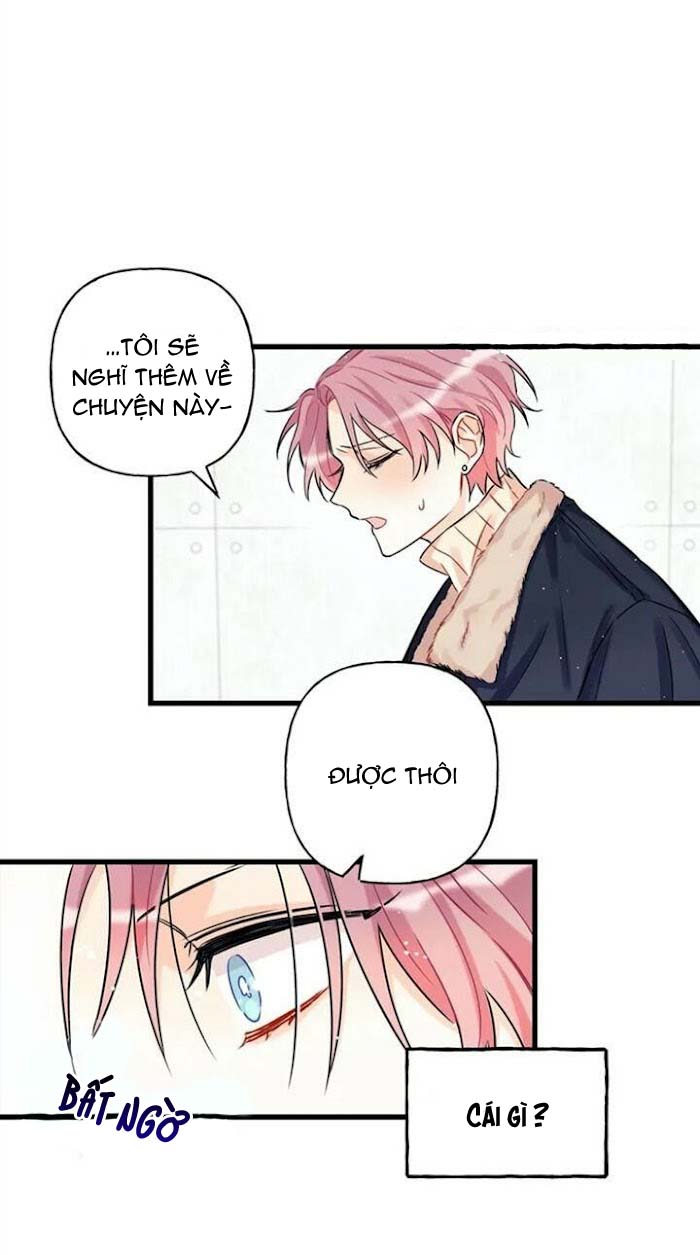 dưới ánh hào quang chapter 0 15