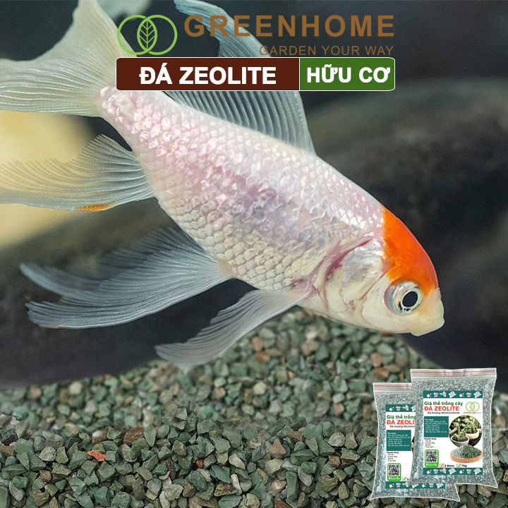 Đá zeolite Greenhome, size 3-6mm, rãi mặt, giá thể, sen đá, xương rồng, hồ thuỷ sinh