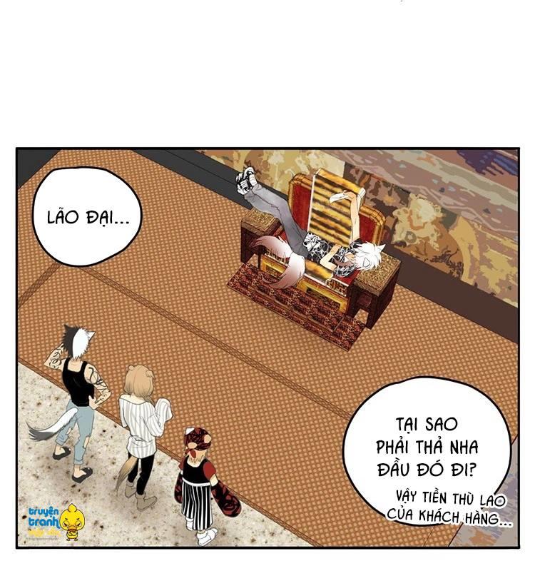 cứu mạng ! loài mèo thống trị thế giới rồi ! chapter 20 23