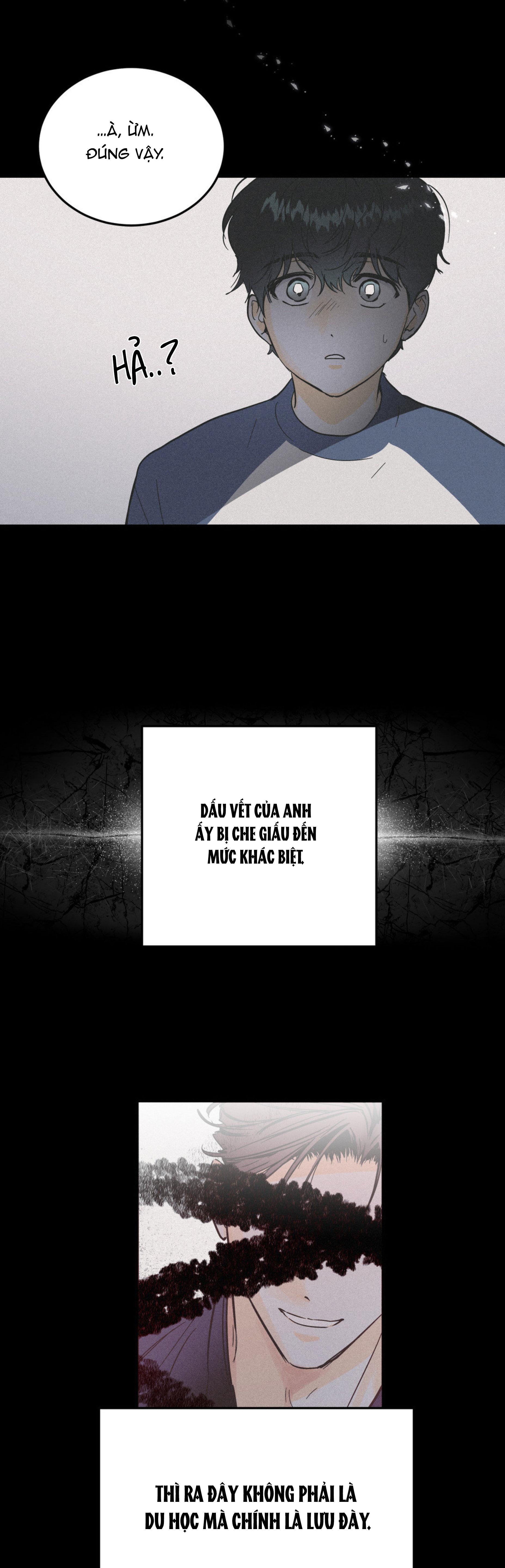 lie again chapter 4 19