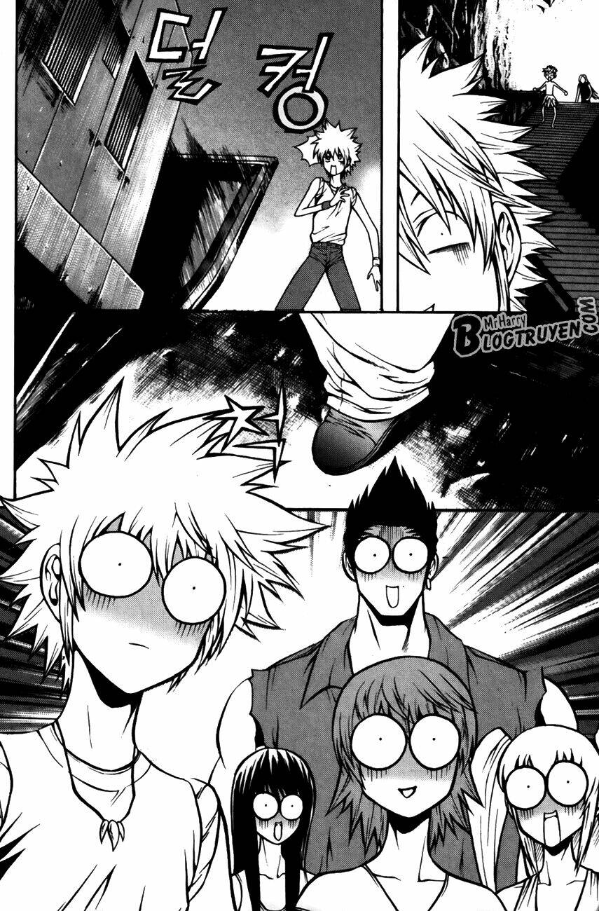 zippy ziggy chapter 83 16