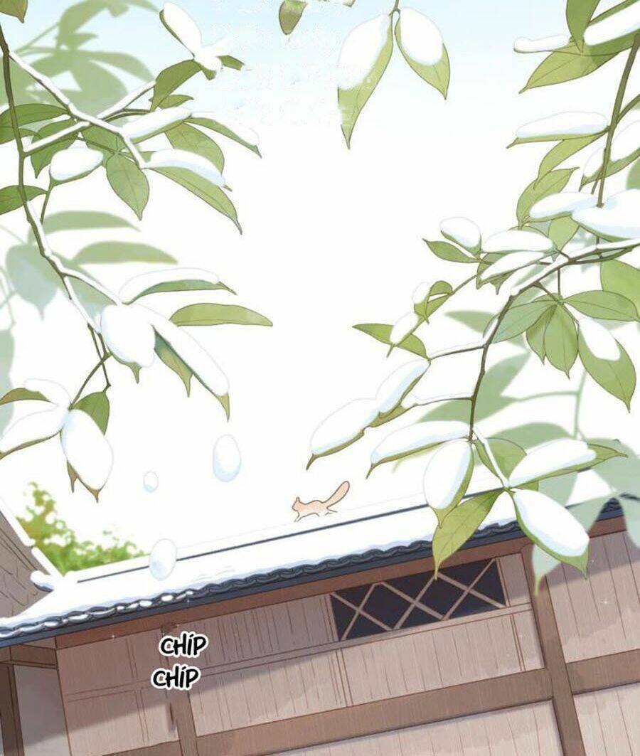 sos! tôi đã yêu một con sâu bướm (phần 2) chapter 2 4