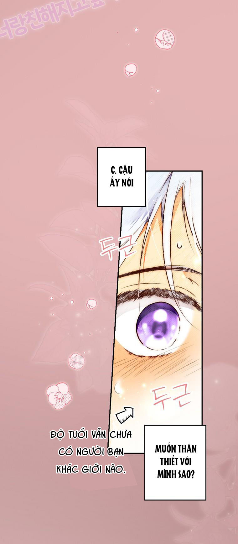 quý cô bí ẩn - secret lady chapter 70.2 12