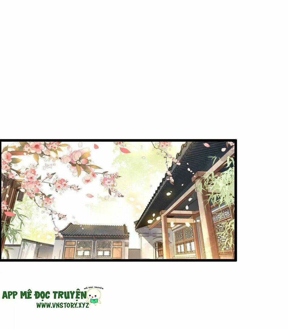 phượng hoàng vu phi chapter 101 9