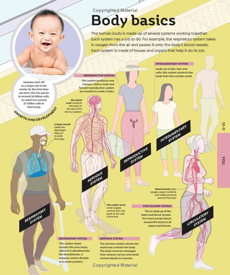 Sách ngoại văn: How Everything Works - From Brain Cells To Black Holes