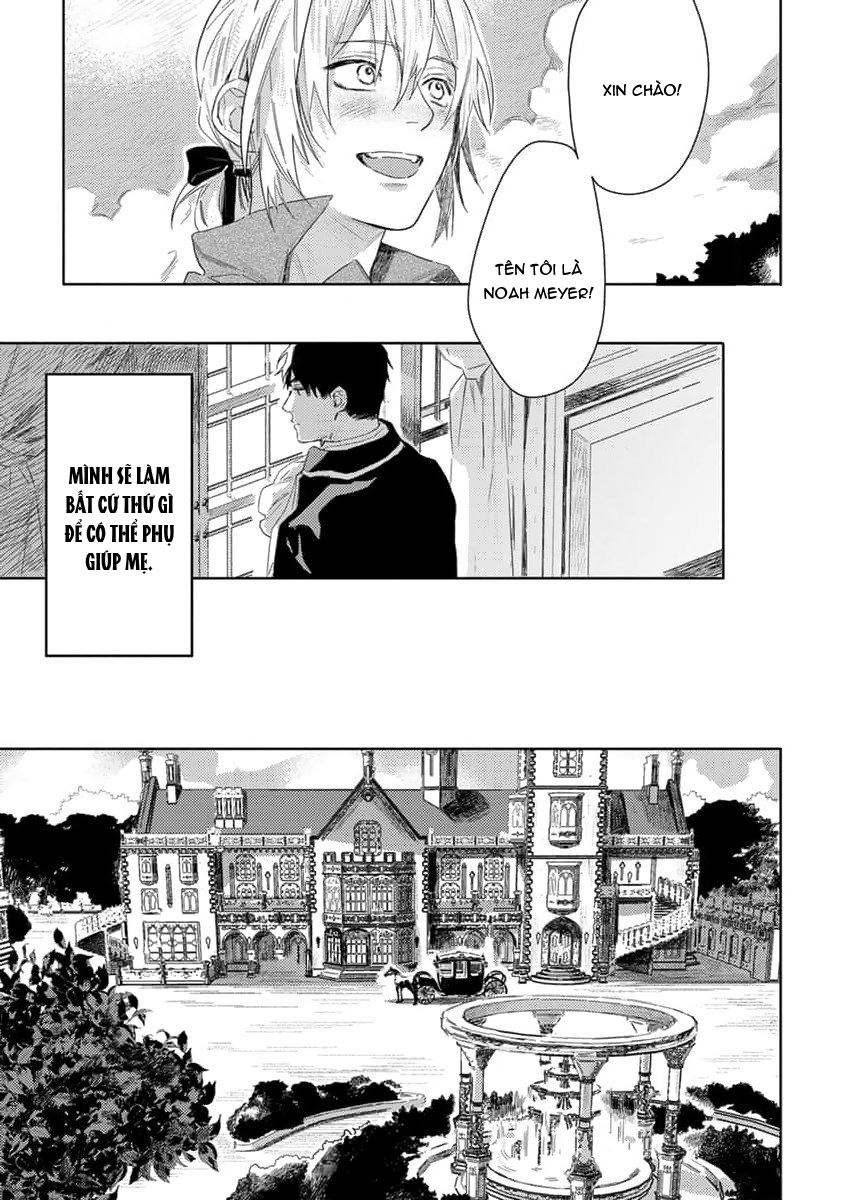 tình yêu hoa hồng dại chapter 1 13