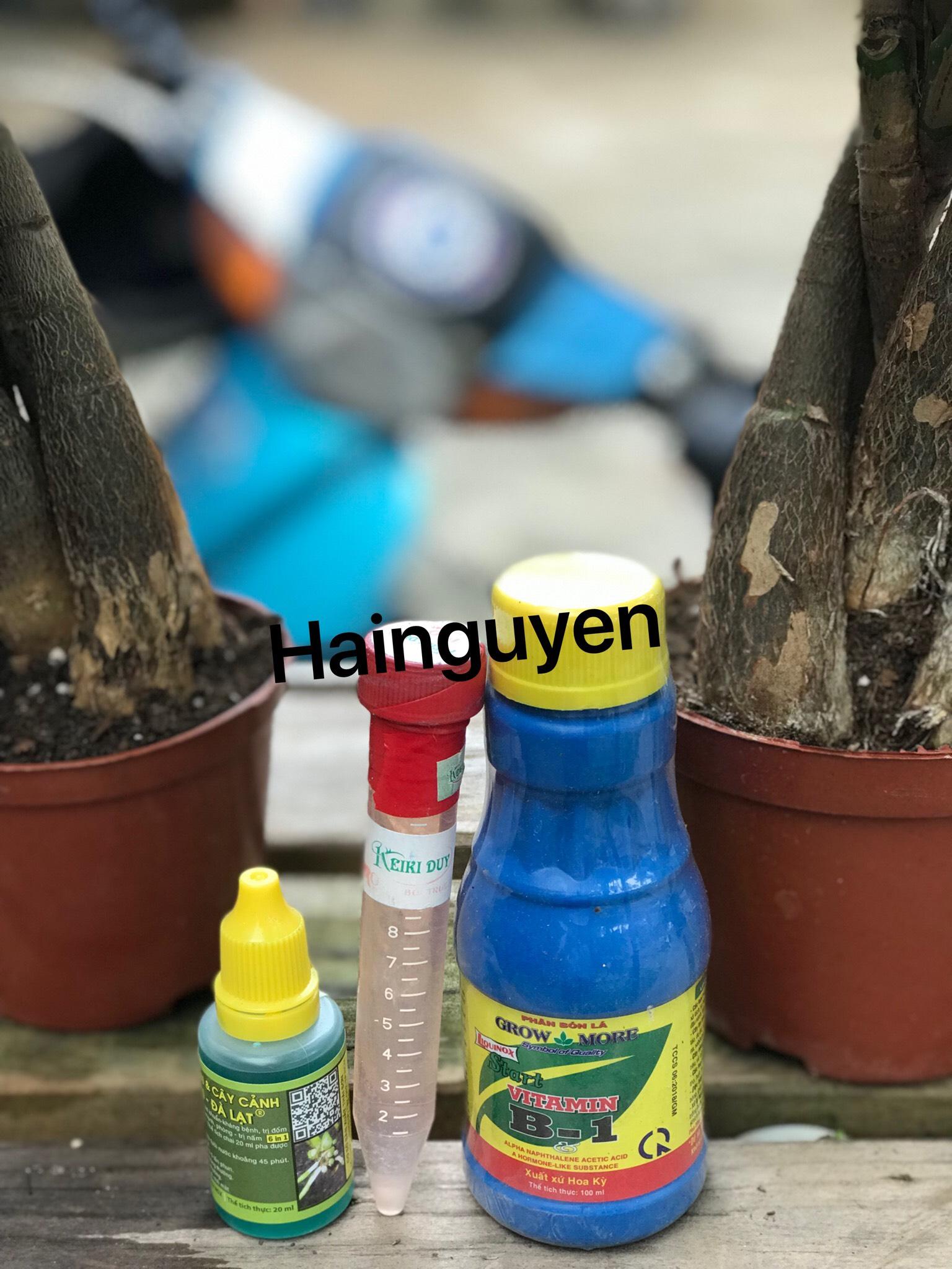 Combo 3 sản phẩm chăm sóc - kích ki cho hoa lan