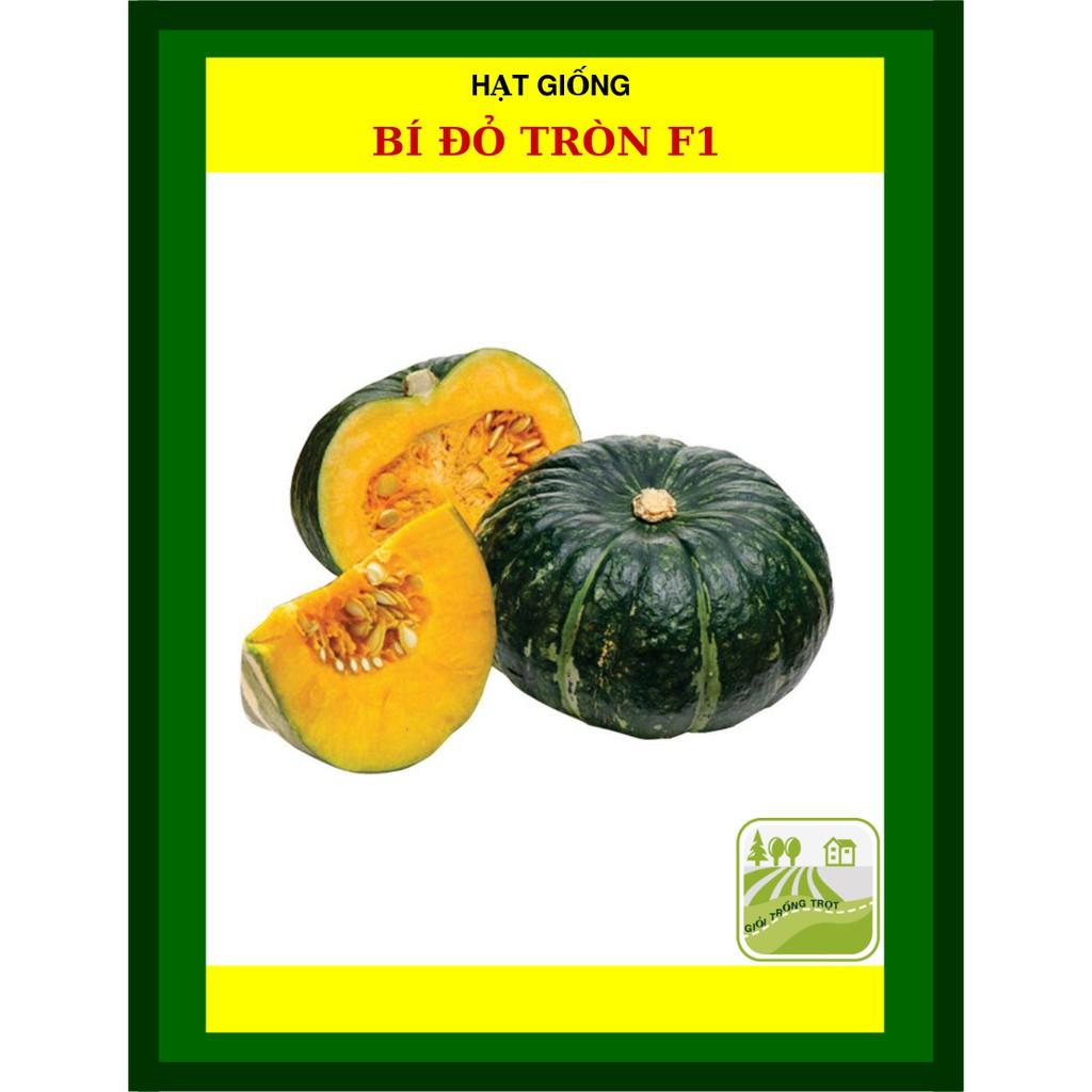 Hạt Giống Bí Đỏ Tròn F1 2gram