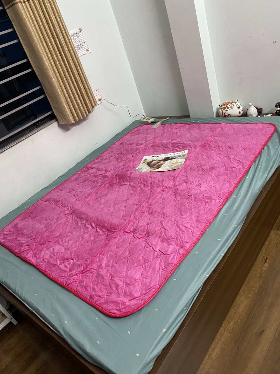 Đệm điện chất liệu nhung hàng nhập khẩu hàn quốc