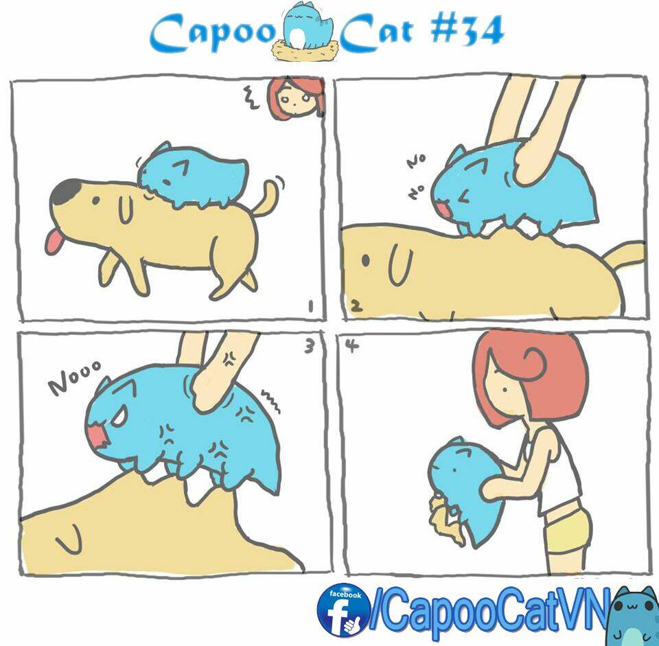 capoo cat chapter 4 4
