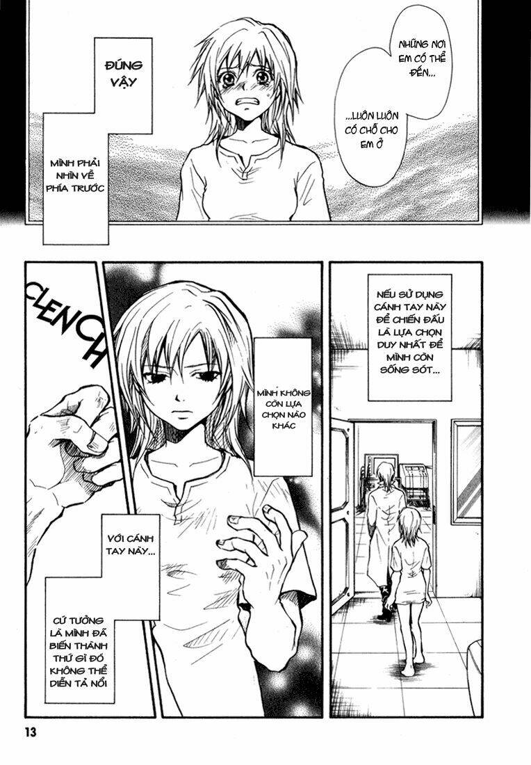 variante chapter 5 13