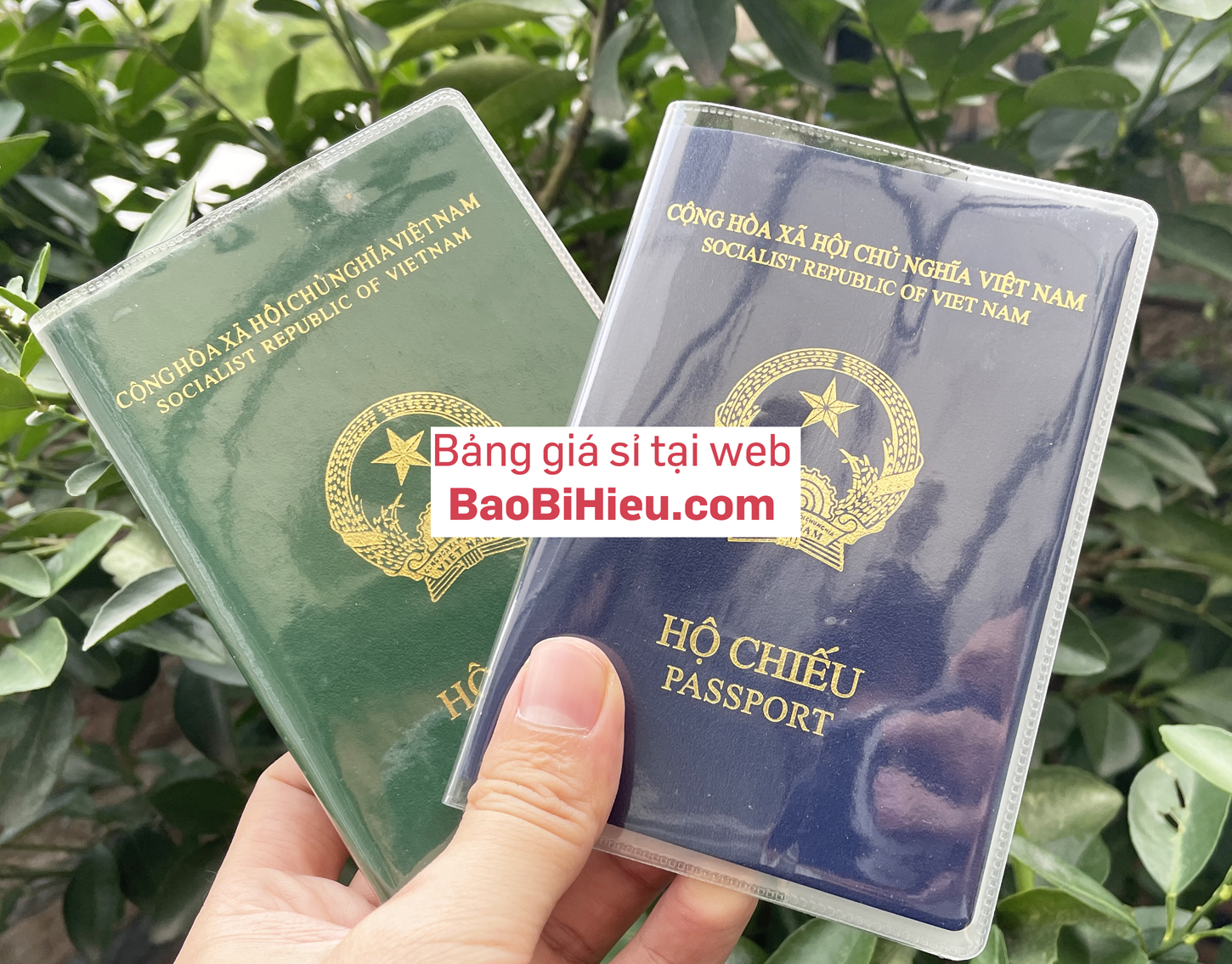 Bìa vỏ bọc bảo vệ hộ chiếu, passport PVC trong suốt.