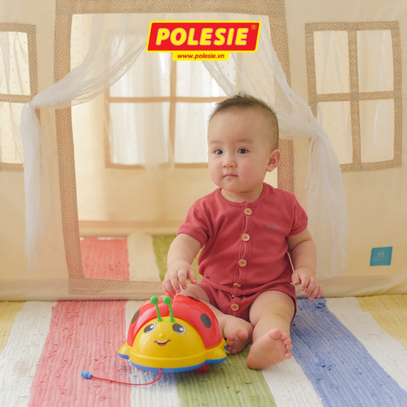 Đồ Chơi Cánh Cam Phát Nhạc, Đồ Chơi Giáo Dục, An Toàn, Phát Triển Tư Duy, Sáng Tạo Cho Bé - Polesie Toys 9158