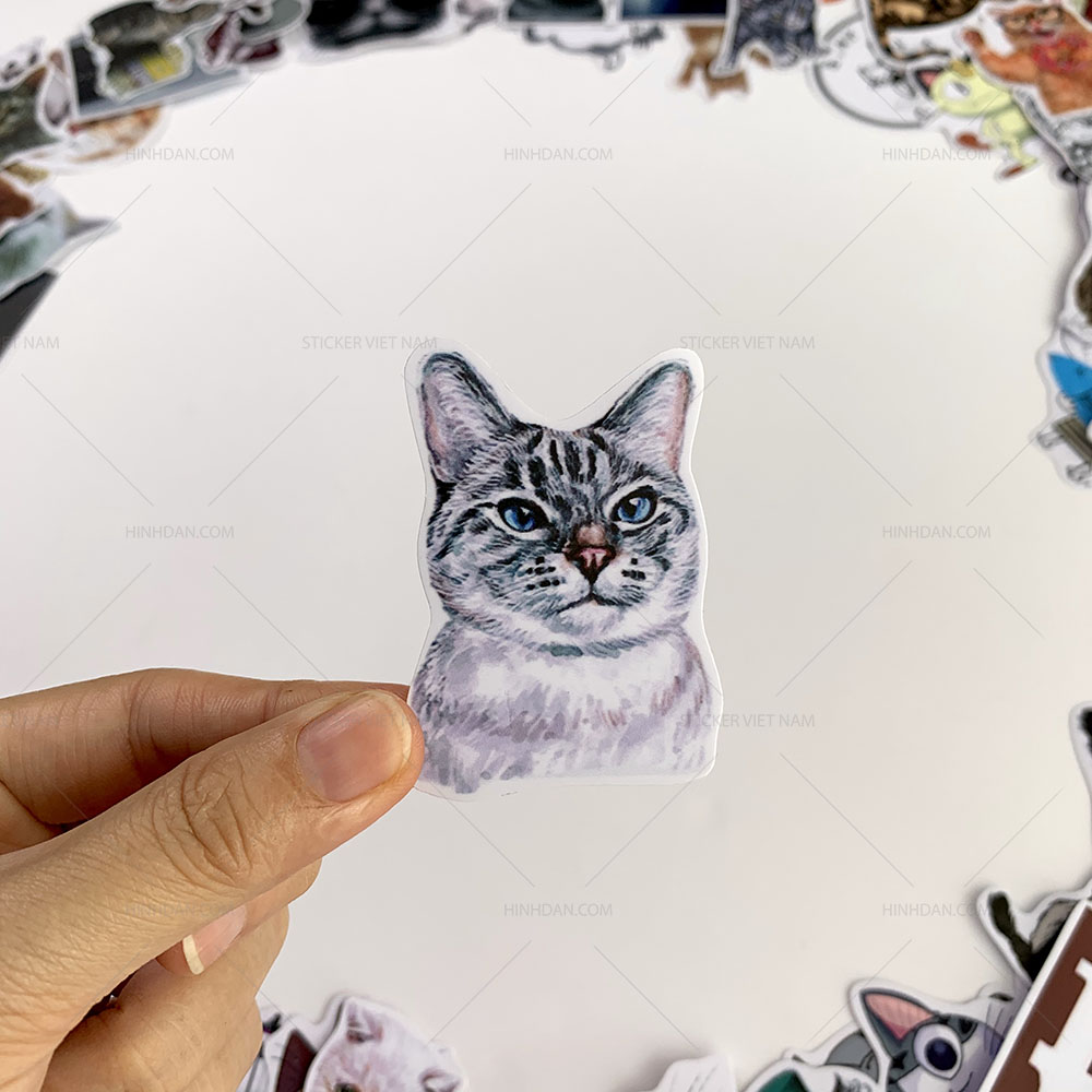 Bộ sticker chủ đề Mèo - Cat - Boss 2019, decal hình dán thú cưng  chống nước, trang trí nón bảo hiểm, điện thoại, lap top