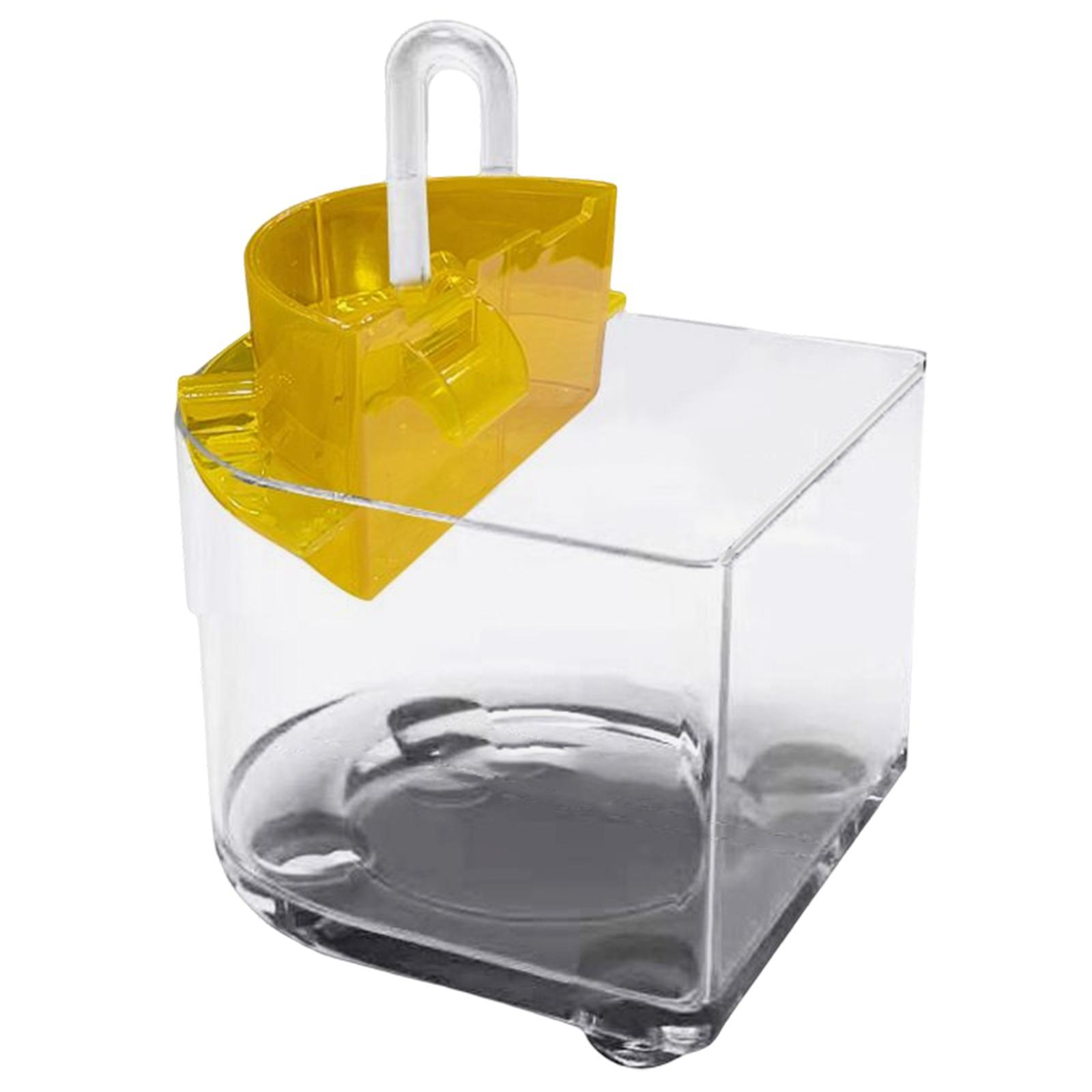 Desktop Aquarium with Water Filtration Quiet Air Pump