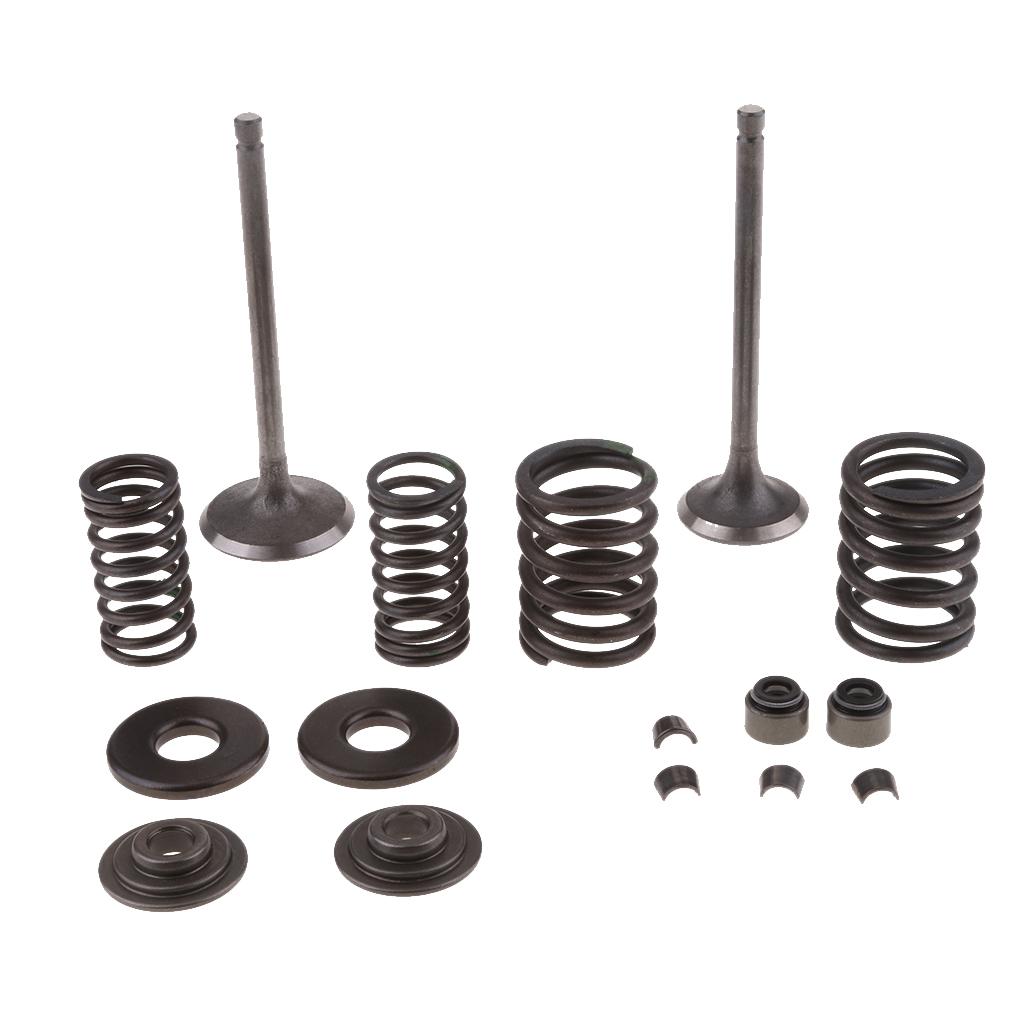 250cc Engine Intake Exhaust Valve Assembly Kit for Scooter ATV CF250
