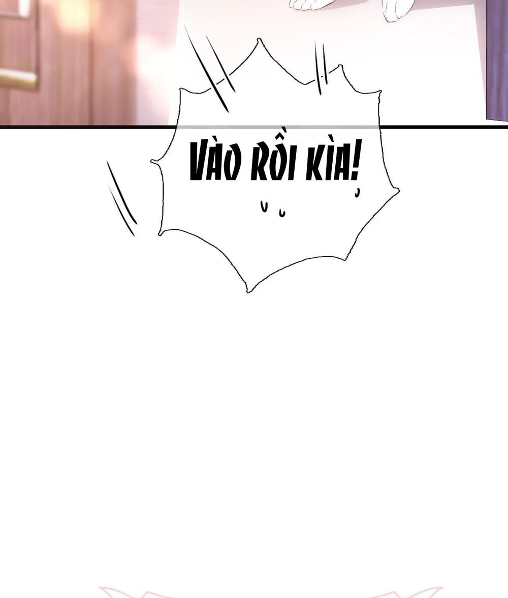 chạy trốn cùng con nhím chapter 34 38