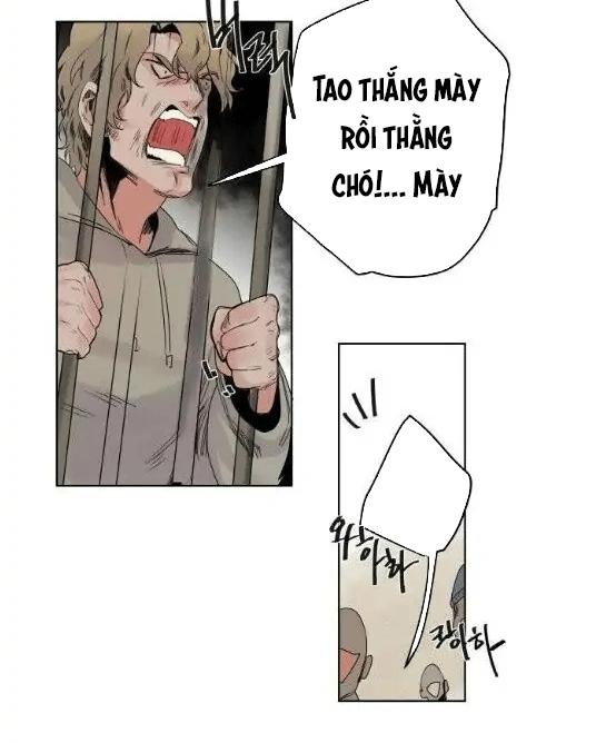 ánh nhìn của quạ chapter 6 19