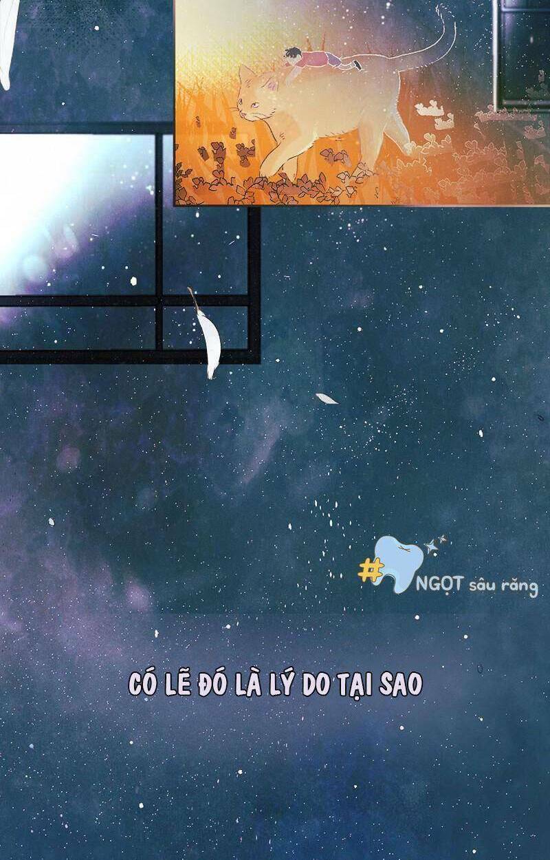 giấc mộng đêm hè chapter 1.1 7