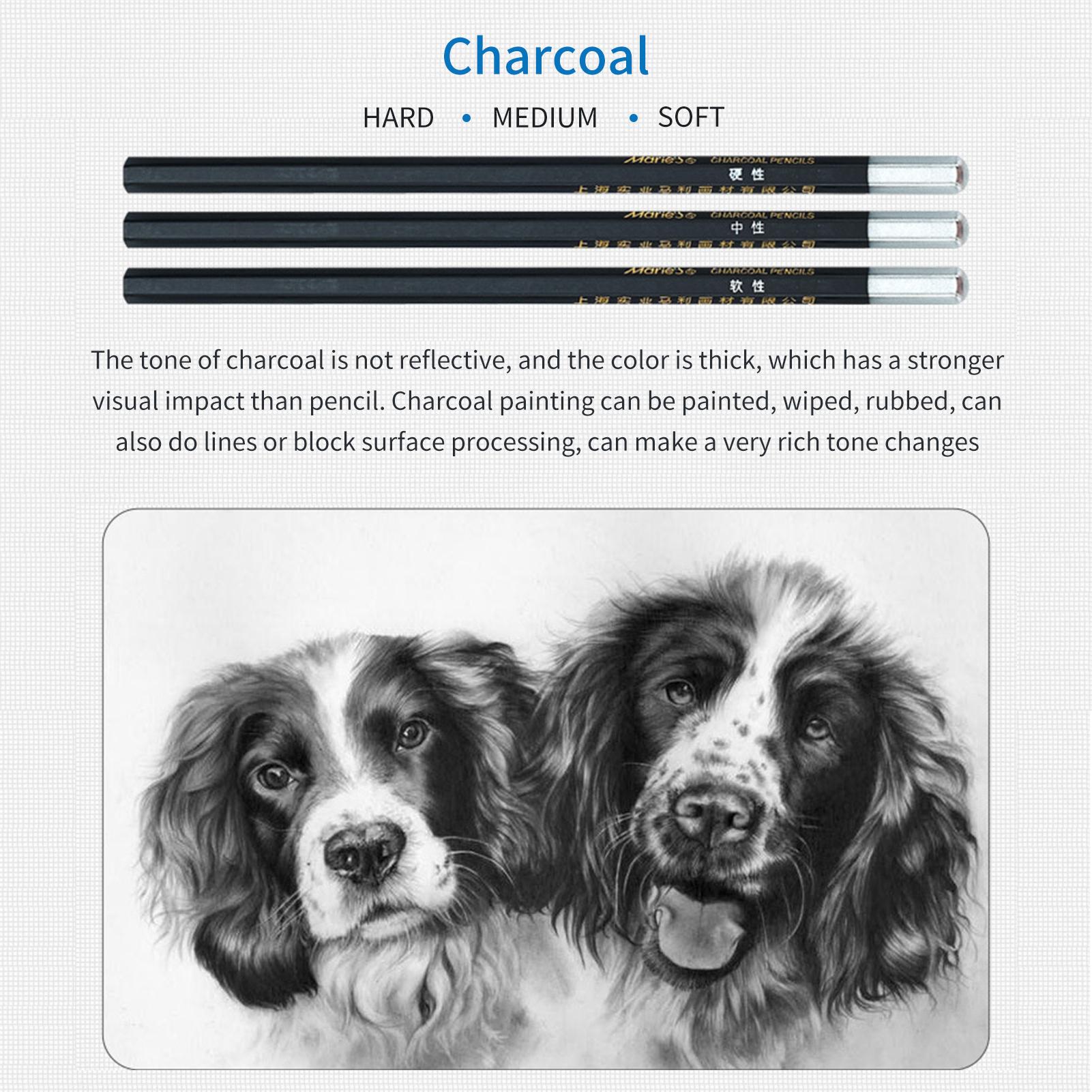 29/30PCS Pencil Set Draw Sketching Charcoal Pencil Art Professional Art Supplies with Storage Bag Portrait Drawing Tool