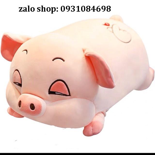 Gấu Bông Heo Phê Cần, Heo Mắt Híp Lợn Ngủ Đờ Đẫn Siêu Yêu size 40cm