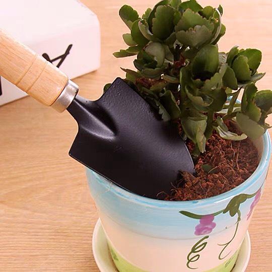 Bộ Dụng Cụ Làm Vườn 3 Món  88298