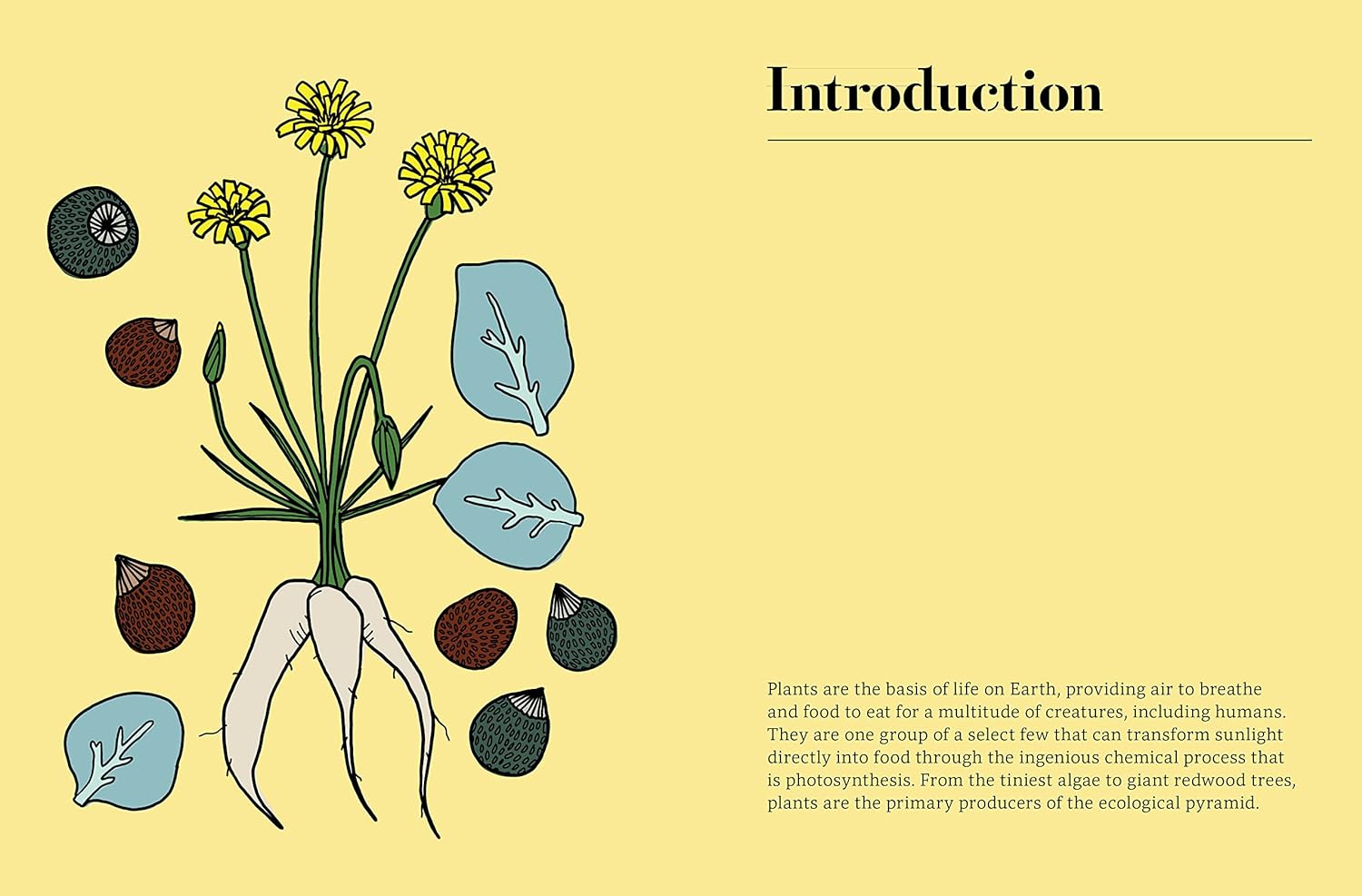 Edible : 70 Sustainable Plants That Are Changing How We Eat