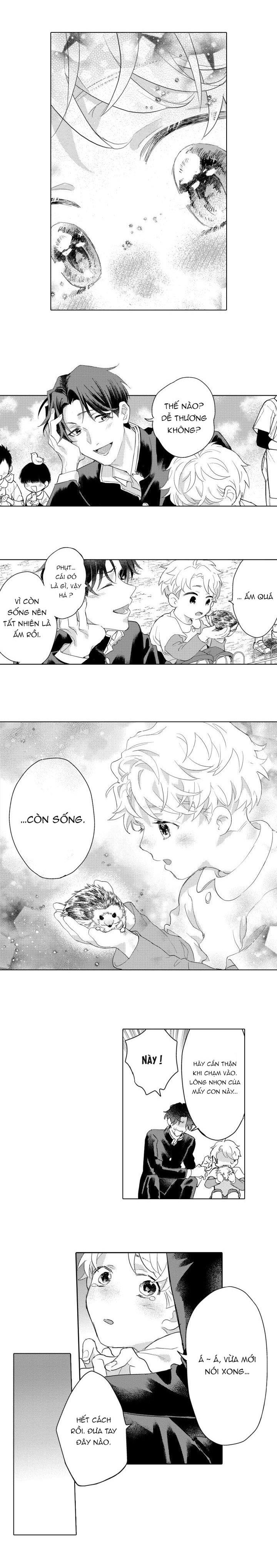 hiyoko-chan to harinezumi-kun chapter 9 11