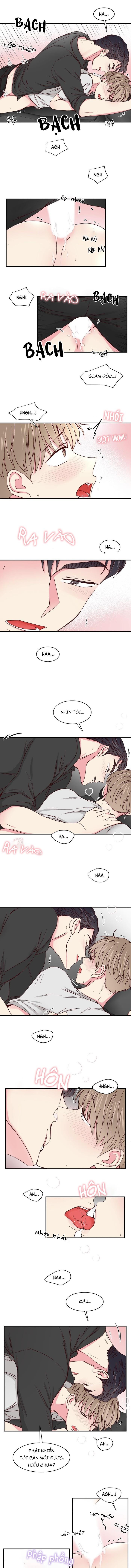 món tráng miệng của sếp tổng chapter 35 5