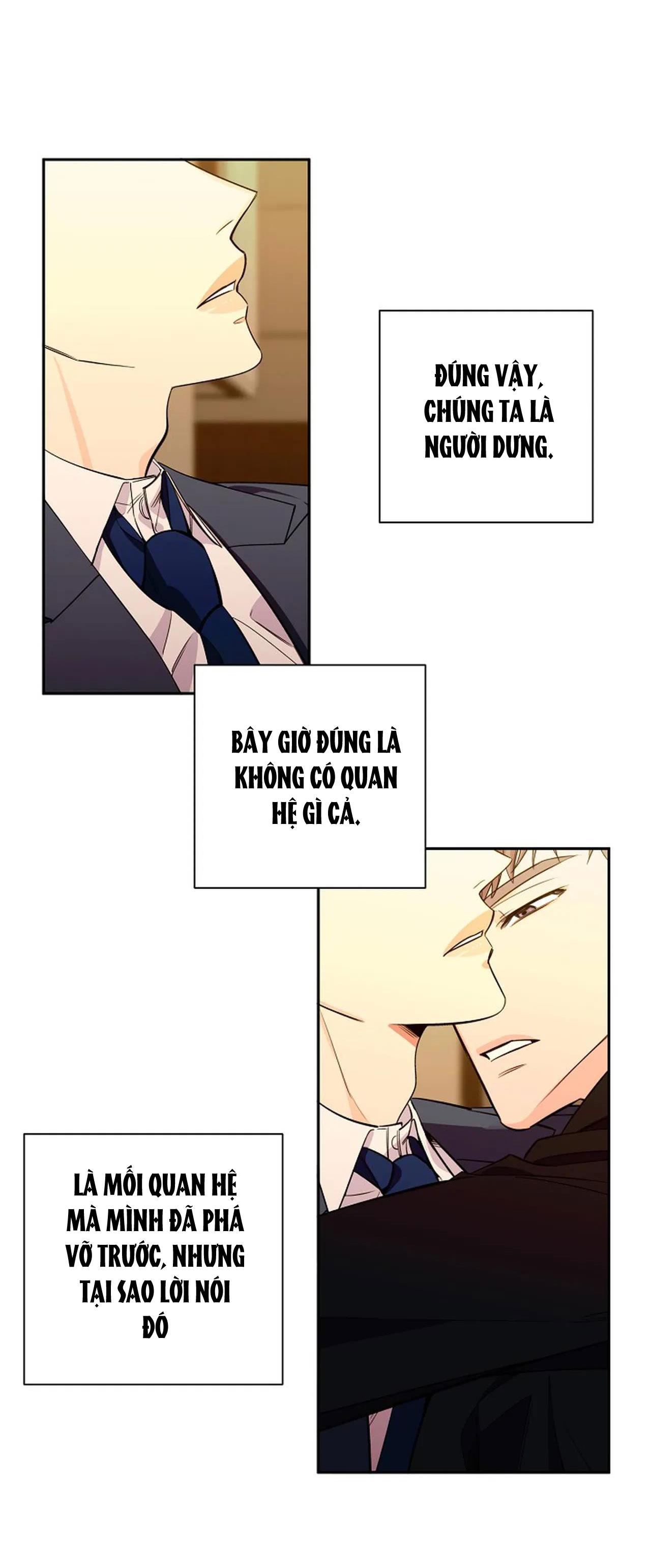 đêm dịu dàng chapter 45 24