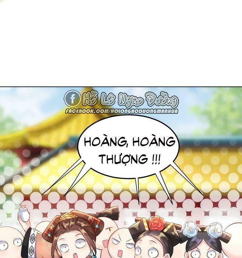 quận chúa vững vàng, thiết lập nhân vật không thể vỡ chapter 34 45