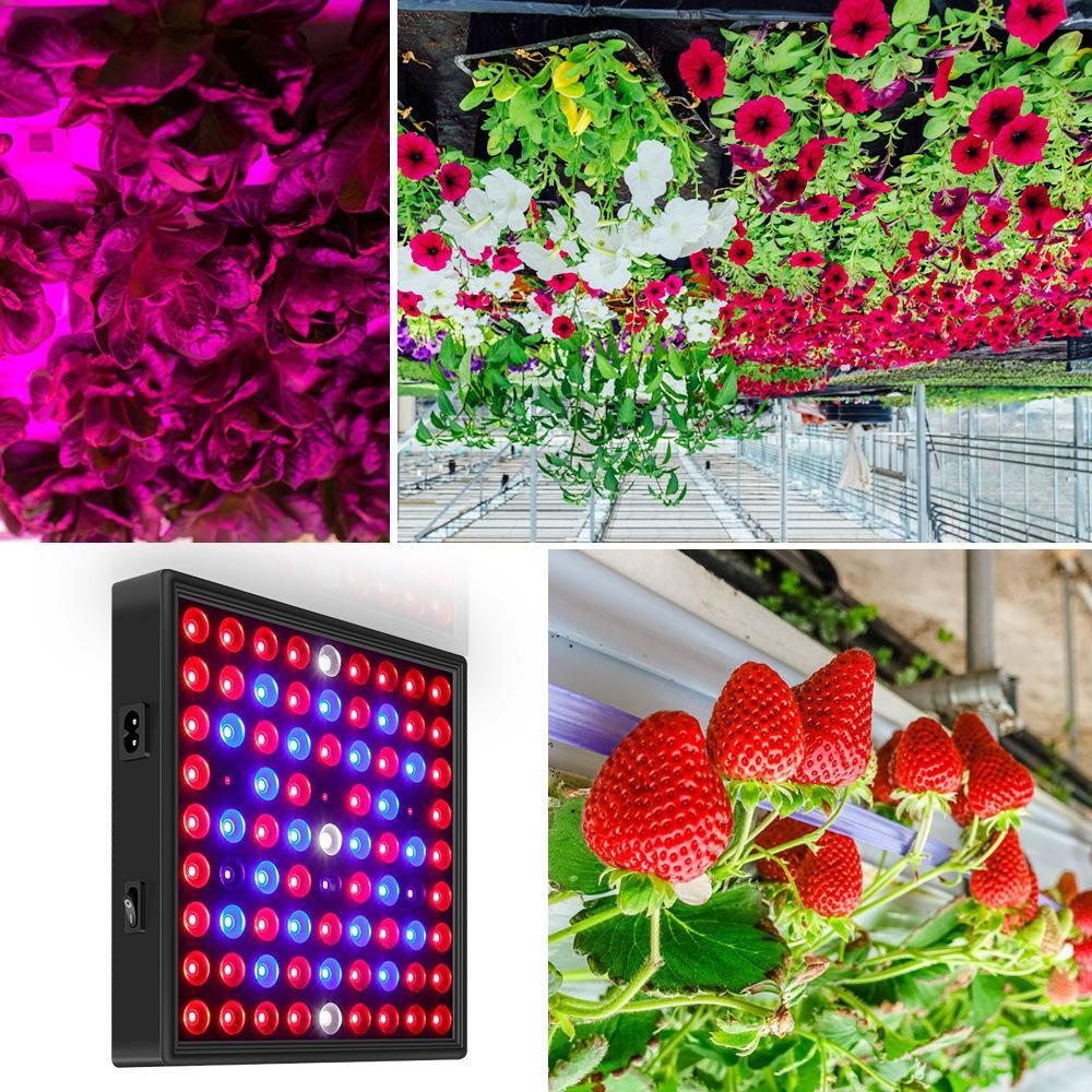 Phong cách mới nhất bảng lượng tử 50W đèn thực vật màu đỏ và màu xanh LED toàn phổ cho hồ cá lấp đầy ánh sáng trồng cây 30W trong nhà đèn tăng trưởng thực vật