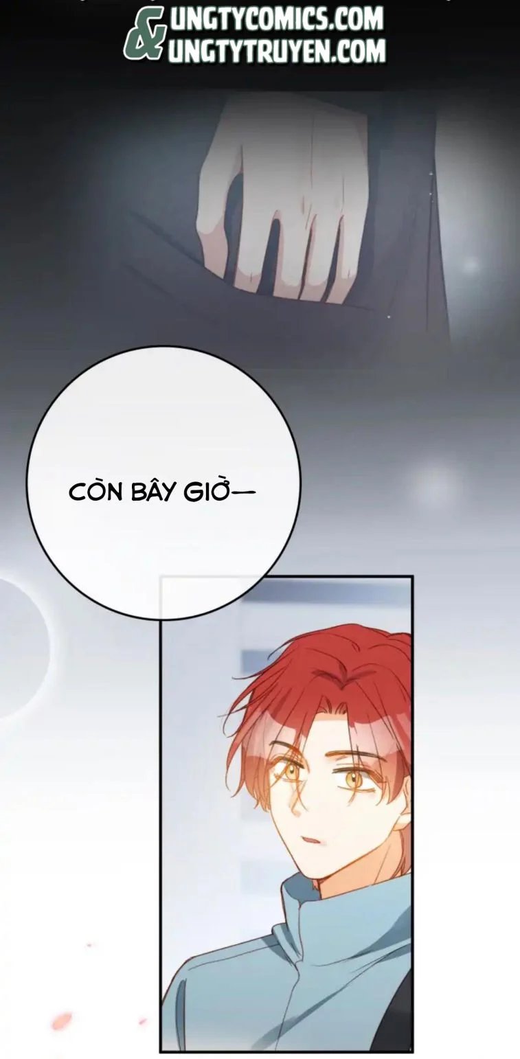 nụ hôn vực thẳm chapter 104 37