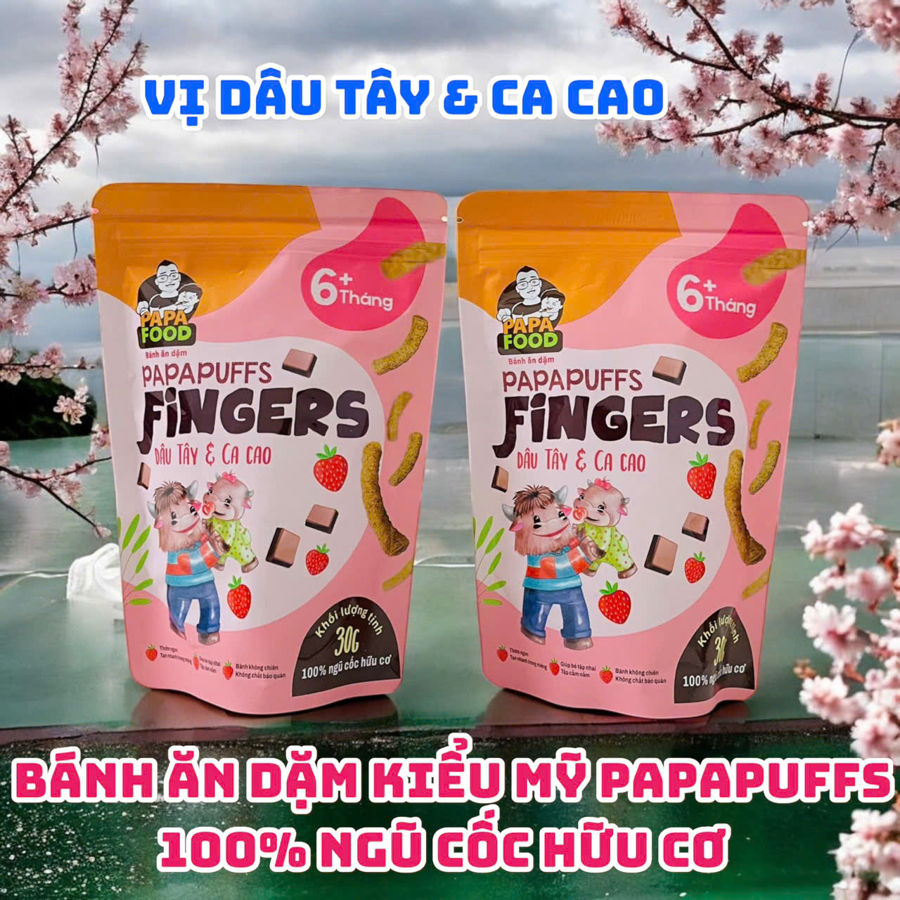 Bánh ăn dặm PAPAFOOD PAPAPUFFS Vị Dâu Tây &amp; Ca Cao - 100% Ngũ Cố Hữu Cơ - Gói 30G