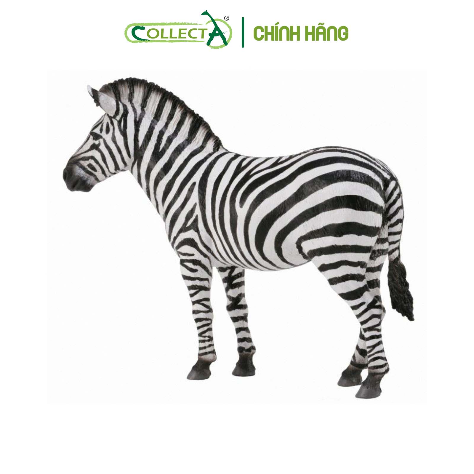 MÔ HÌNH NGỰA VẰN COMPOSITE CAO CẤP