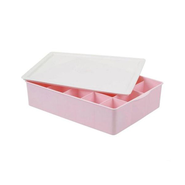 Khay Đựng Đồ Lót 10 Ngăn HomeStar