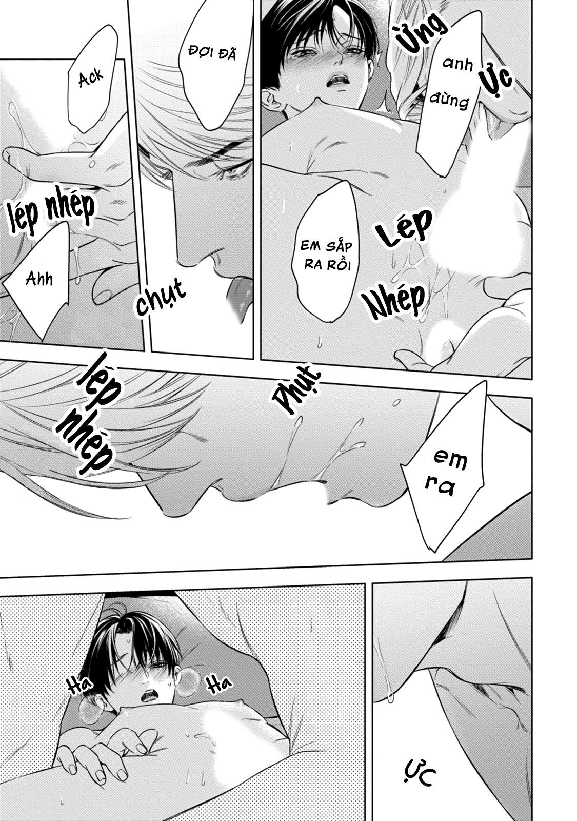 cô dâu của alpha chapter 14 11