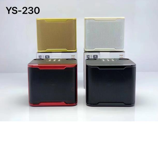 LOA BLUETOOTH KARAOKE SUYOSD YS-230 KÈM 2 Micro không dây -Hàng Chính Hãng