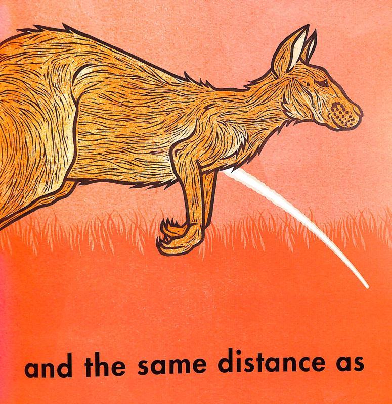 How Far Can A Kangaroo Jump?