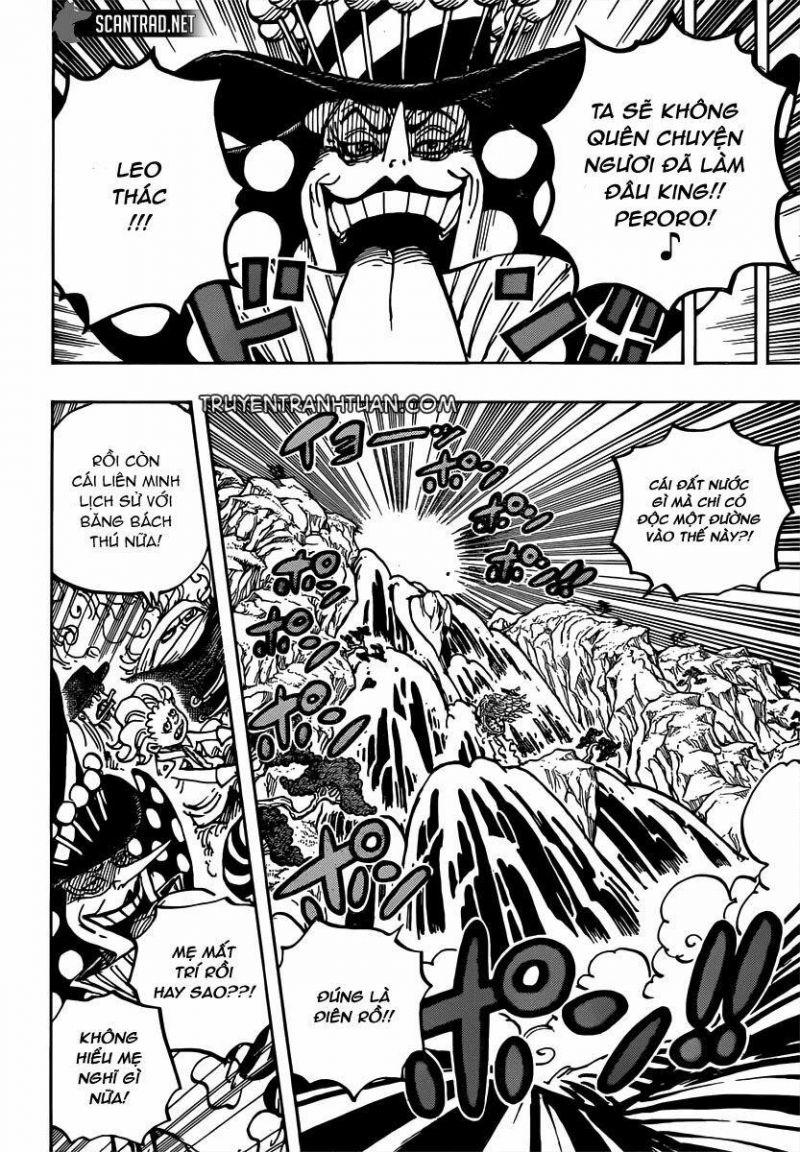 đảo hải tặc - one piece chapter 981 14
