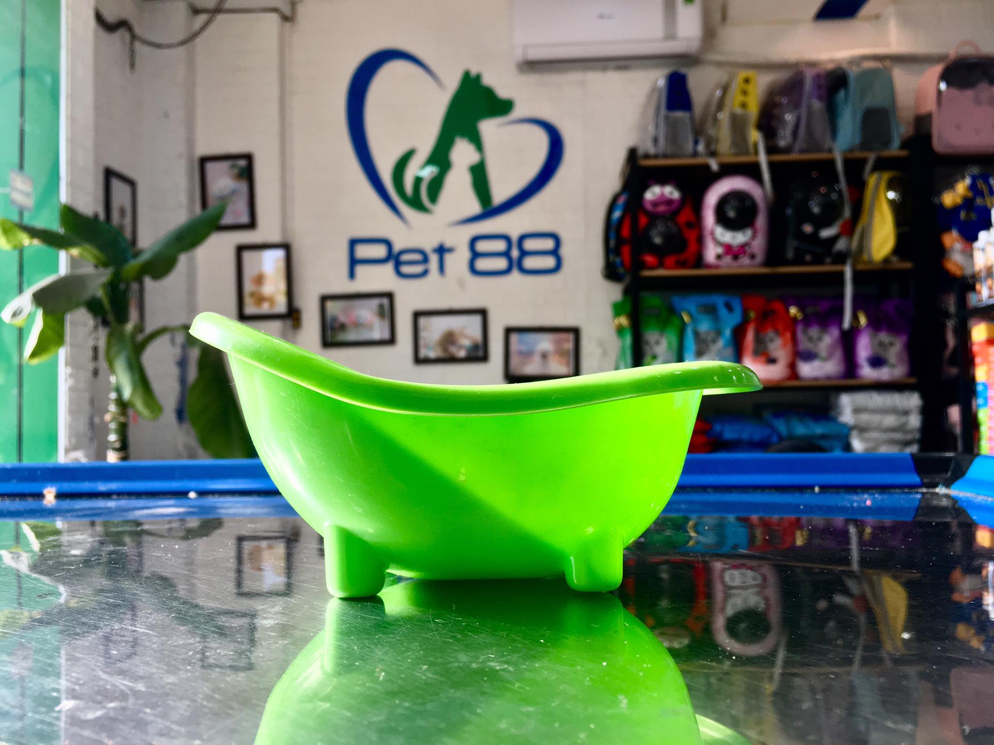 Bồn tắm dành cho chuột Hamter